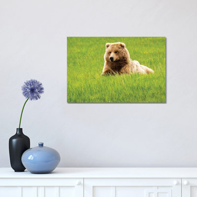 Grizzly Bearon Grass 1 Piece Wrapped Canvas Wall Art