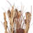 Dried Plant Bouquet Foliage Decor Brown Natural Foliage Set