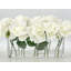 Arrangement de vraies touches blanches dans un vase, fleurs artificielles de campagne française