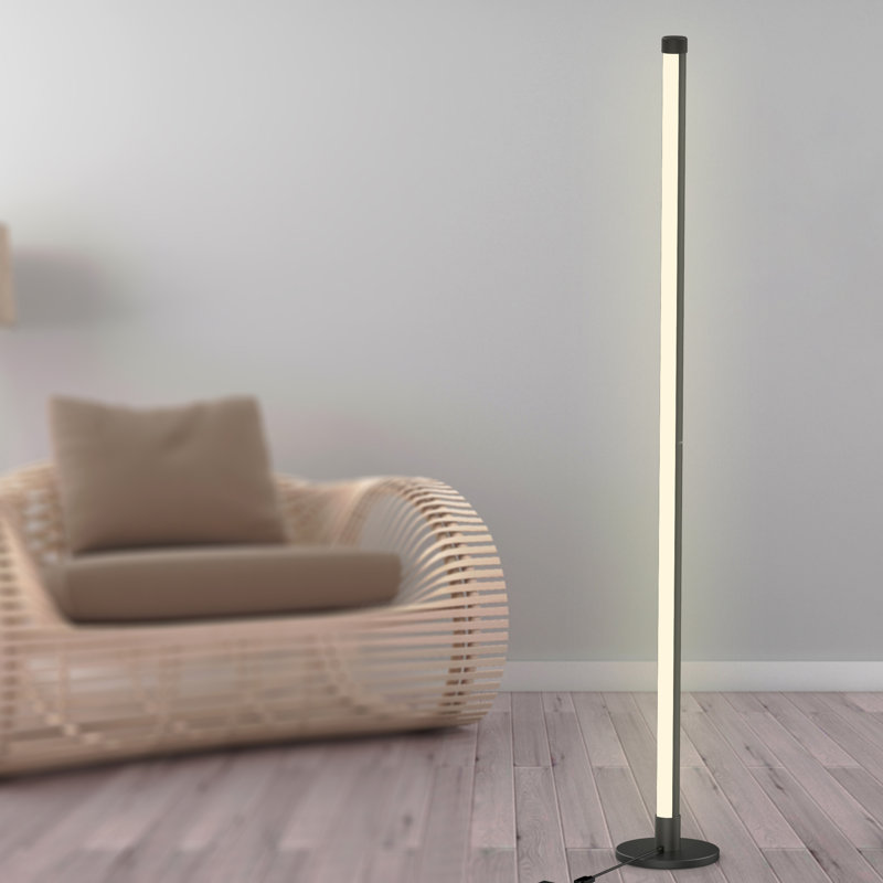 Casperson 150cm LED Novelty Floor Lamp