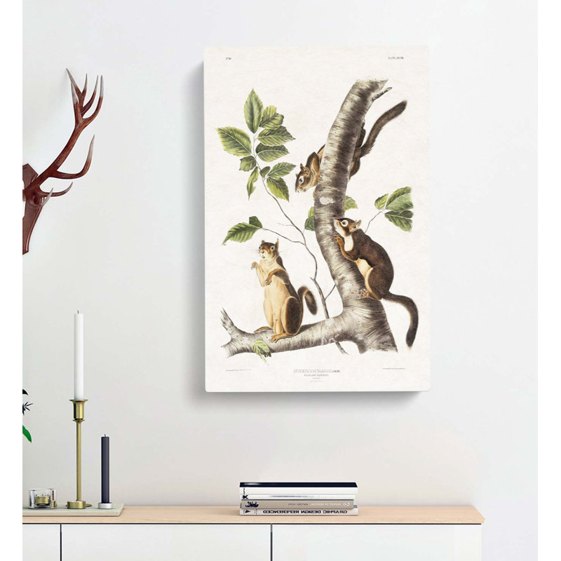 Douglasss Squirrels by Kawanabe Kyosai - Wrapped Canvas, 50cm H x 35cm W x 3cm D