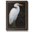 «White Heron Portrait I», peinture sur toile encadrée-1055275687
