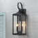 Gaudencia 2 - Bulb 25.74'' H Outdoor Wall Lantern