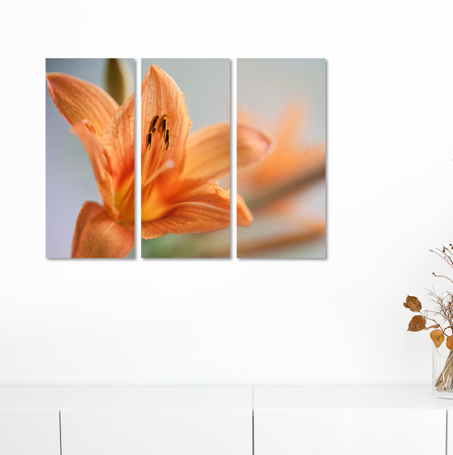 3-tlg. Leinwandbilder-Set Orange Orchideen