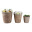 Ensemble de 3 pots de fleurs en argile fabriqués à la main - Design décoratif moderne et polyvalent-1027438090