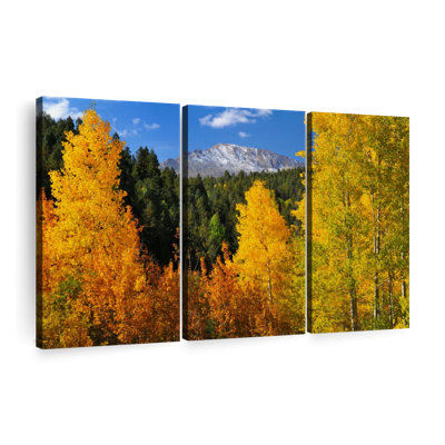 " Pikes Peak In Autumn " 3 - Pieces