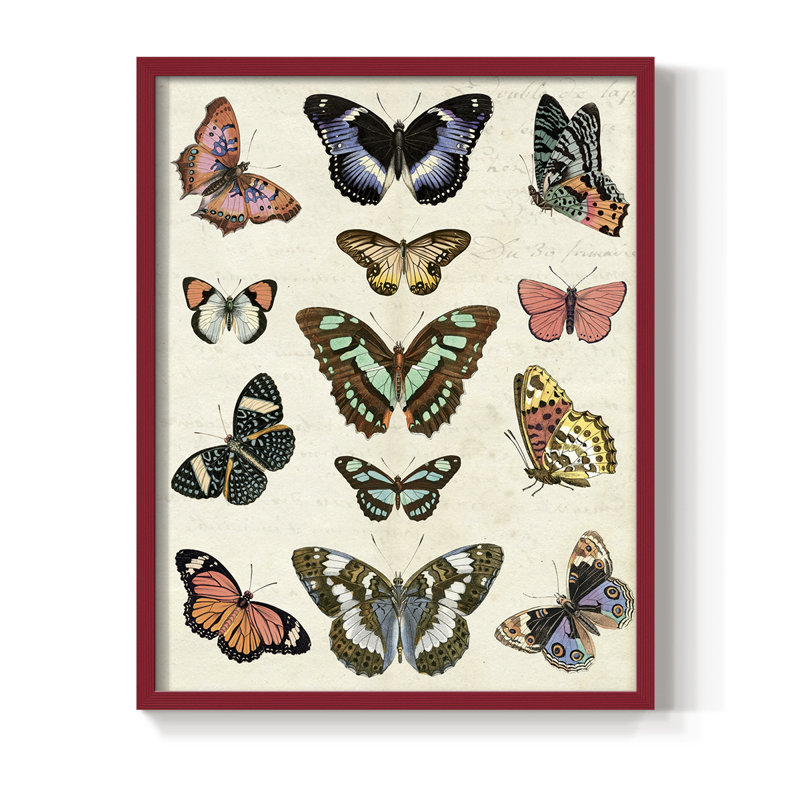 Flutterbys I Framed Print - Solid Wood, 30" H x 24" W, Red
