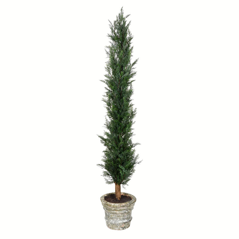 Cèdre artificiel en pot, H 60 po x l 22 po x P 22 po