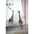 28x60"Poppy Mirror,Wall Decor