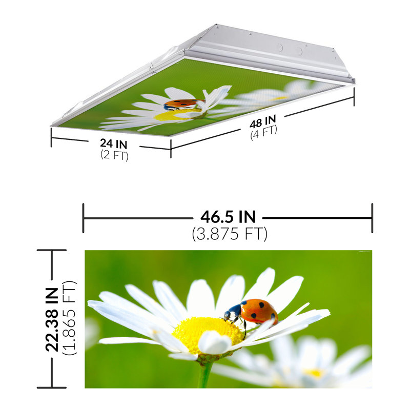 Octo Lights - Fluorescent Light Covers - Flexible Decorative Light Diffuser Panels - Flower - For Classrooms And Offices - Flower 002