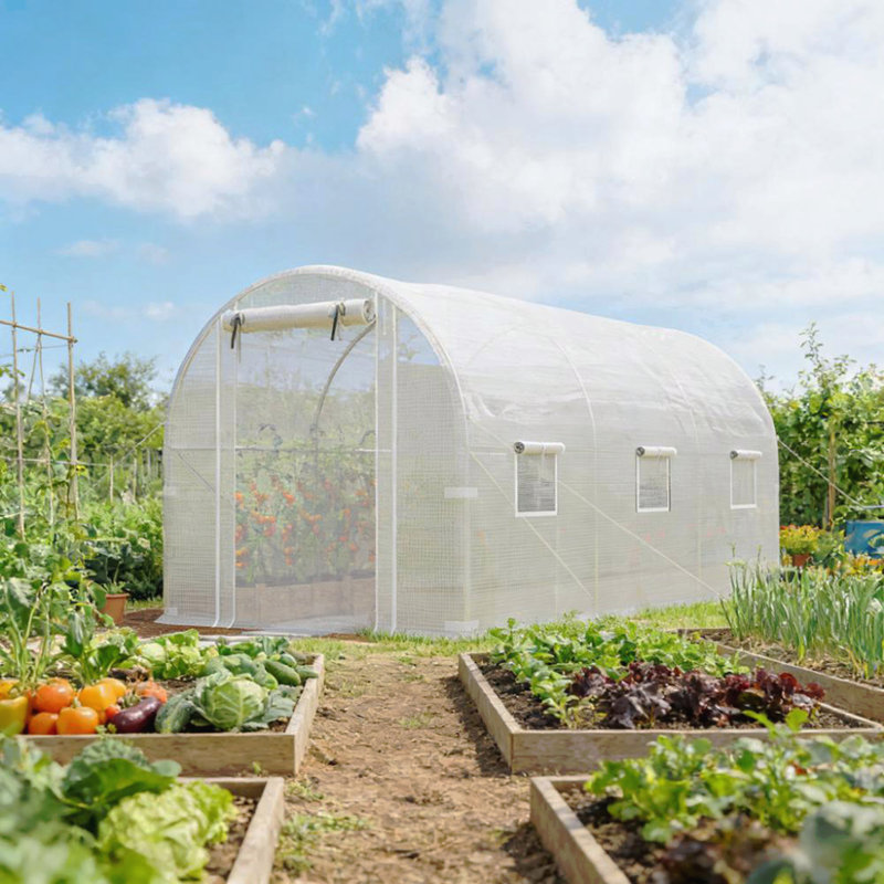 Walk-in Tunnel Greenhouse,Hoop House Greenhouse, Silver/White