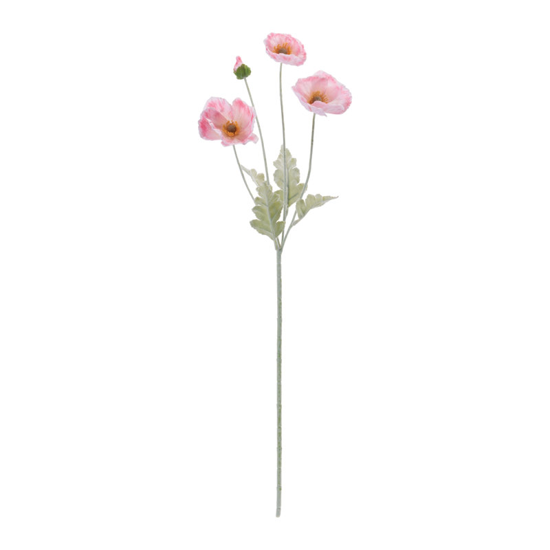 Vaporisateur floral coquelicot, Rose