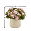 Kalanchoe Arrangement in Fiberstone Pot-1077015223