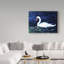 «Clearwater Swan» par Dartis, reproduction sur toile tendue-25326516
