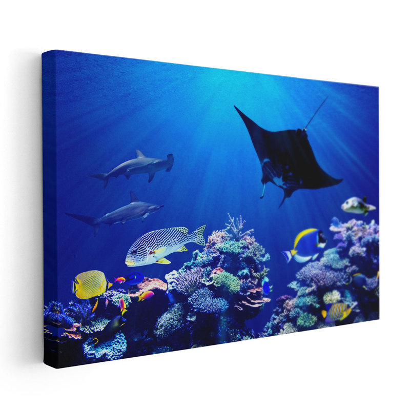 Eagle Ray and Hammerhead Sharks , Underwater Coral Reef - Canvas Print Wall Art, 20" H x 30" W