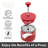 5 Cup Borosilicate French Press Coffee Maker (600 ml, 20 oz)