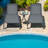 Outdoor Metal Chaise Lounge-1127567268