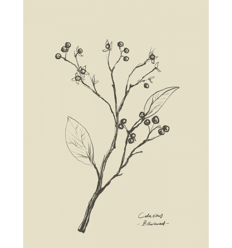 Wrapped Canvas Print, 76.2 cm H x 50.8 cm W