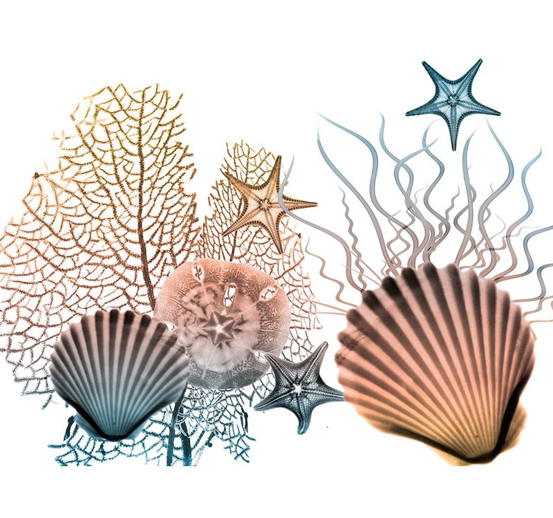 " Sea Collective 2 " by Albert Koetsier