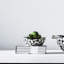 Bone Decorative Bowl