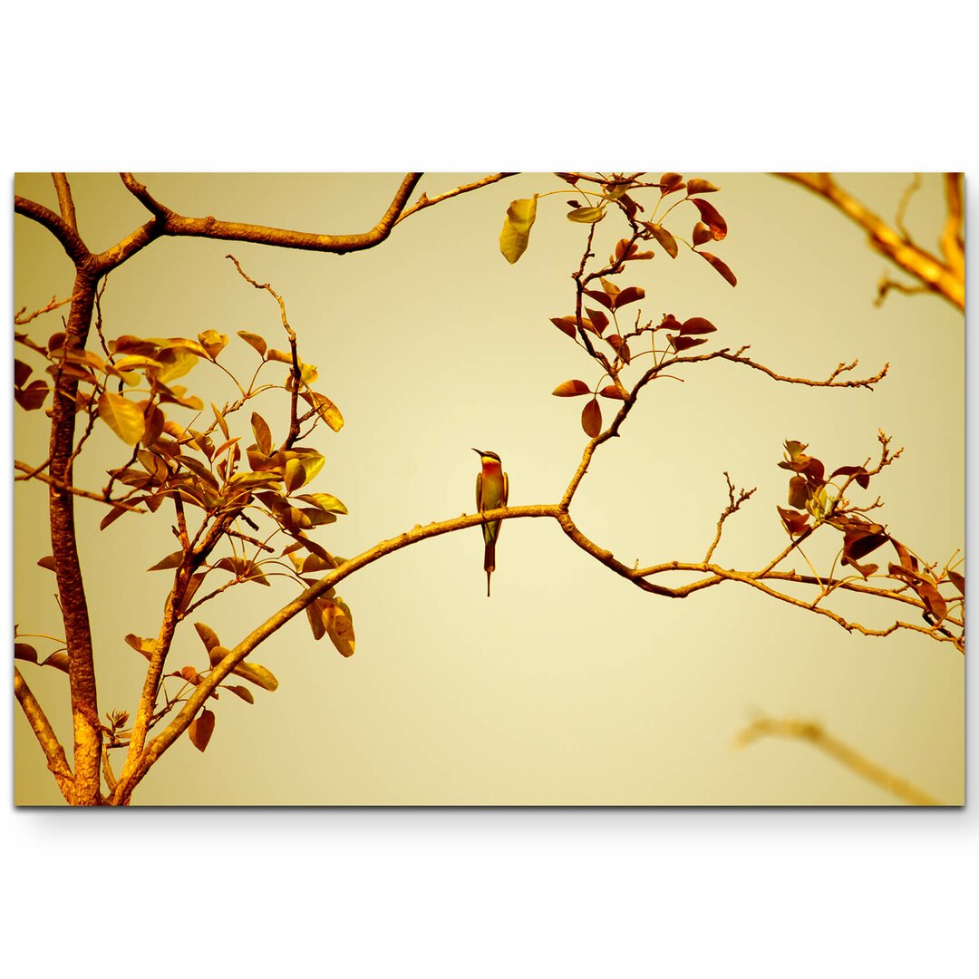 Leinwandbild Vogel auf einem Ast bei Sonnenuntergang