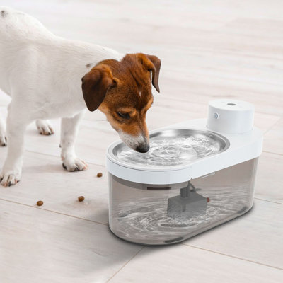 Modern Pet Water Fountain Semi-Clear Cat Drinking Fountain