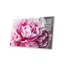 " Peony Blush " by 5by5collective-2676289-2676317-2676315