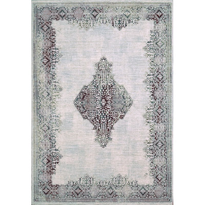 Oriental Indoor Rug
