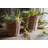 August Grove® Wicker Basket-1726594835