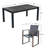 Dalija 6 - Person Patio Dining Set with Rectangular Table , Cushions Included