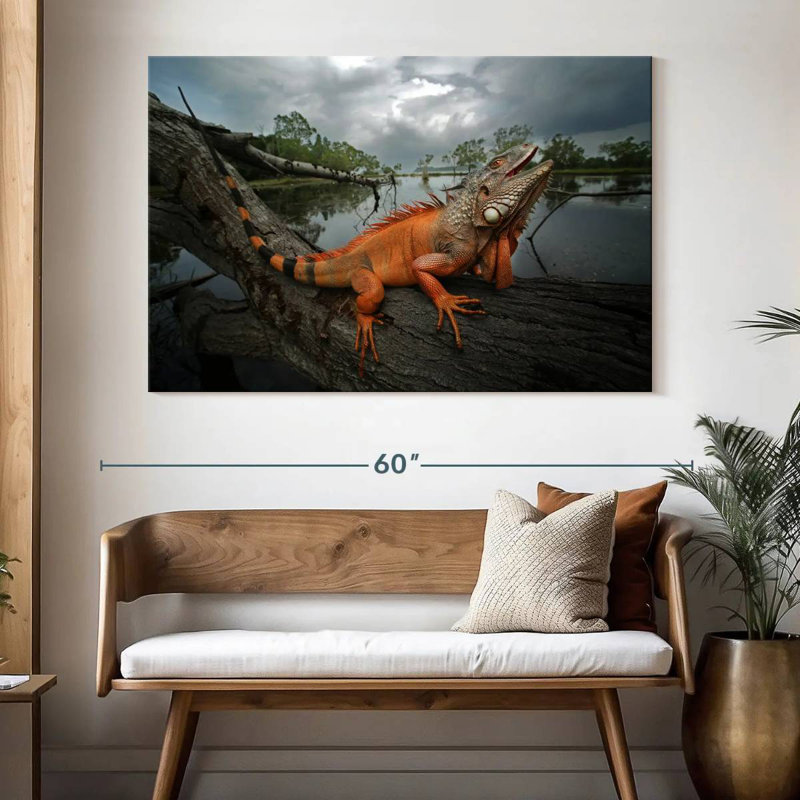 Iguane ronce orange, H 34 po x l 51 po