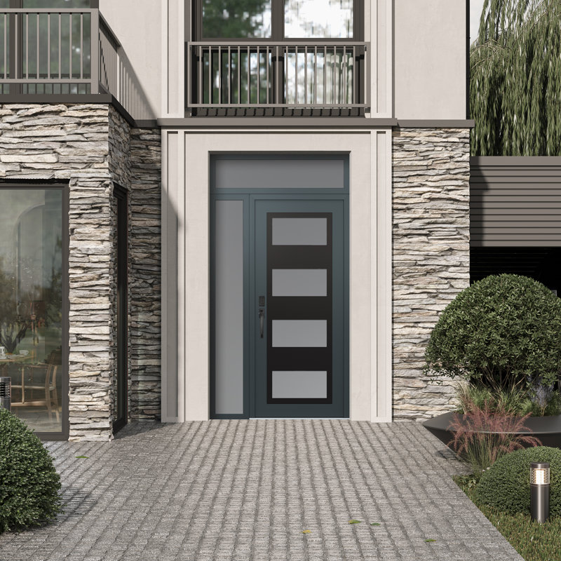 Panneau d'entrée en acier noir anthracite / anthracite avec panneau latéral et porte d'entrée pré-montée, Gelé
