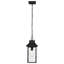 Lanterne suspendue d'extérieur 1 lumière noire matte H 12,38 po Antonietti