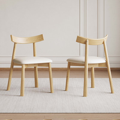 Set Of 2 Modern Dining Chairs