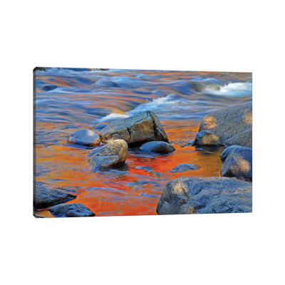 Maple Reflections 1 Piece Wrapped Canvas Wall Art