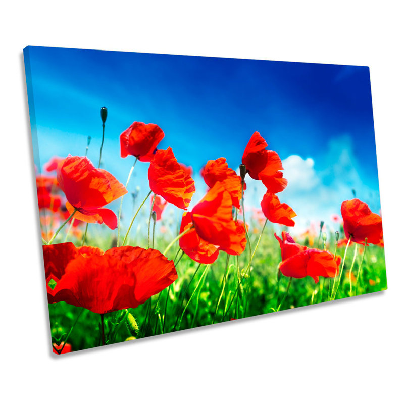 Poppy Field Summer Flowers - Wrapped Canvas Art Prints, 30.5cm H x 45.7cm W