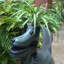Statue de fantaisie pour chien