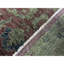 Wool Oriental Area Rug in Red/Green/Beige