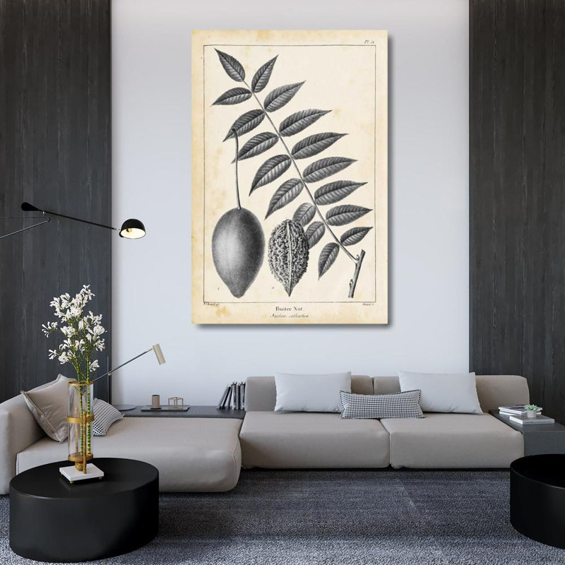 Art sur toile tendue Lark Manor ™, Nuttall, Thomas, arbre: noyer cendré rétro, H 48 po x l 33 po
