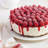 Nordic Ware Pro Form Non-Stick Round Leak Proof Springform Pan