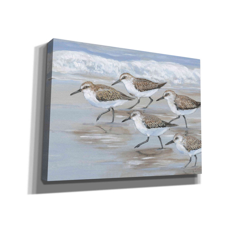 «Sandpipers I» par Tim O'toole, art mural sur toile, H 40 po x l 54 po x P 1,5 po