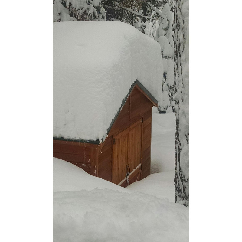 Rancher 10 ft. W x 20 ft. D Western Red Cedar Wood Storage Shed