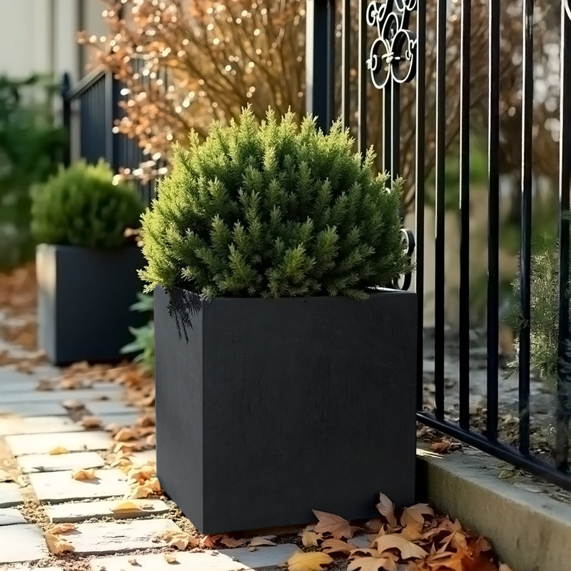 Planter Box, Dark Grey, 50.5cm H x 50cm W x 50cm D