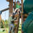 Tremont Swing Set