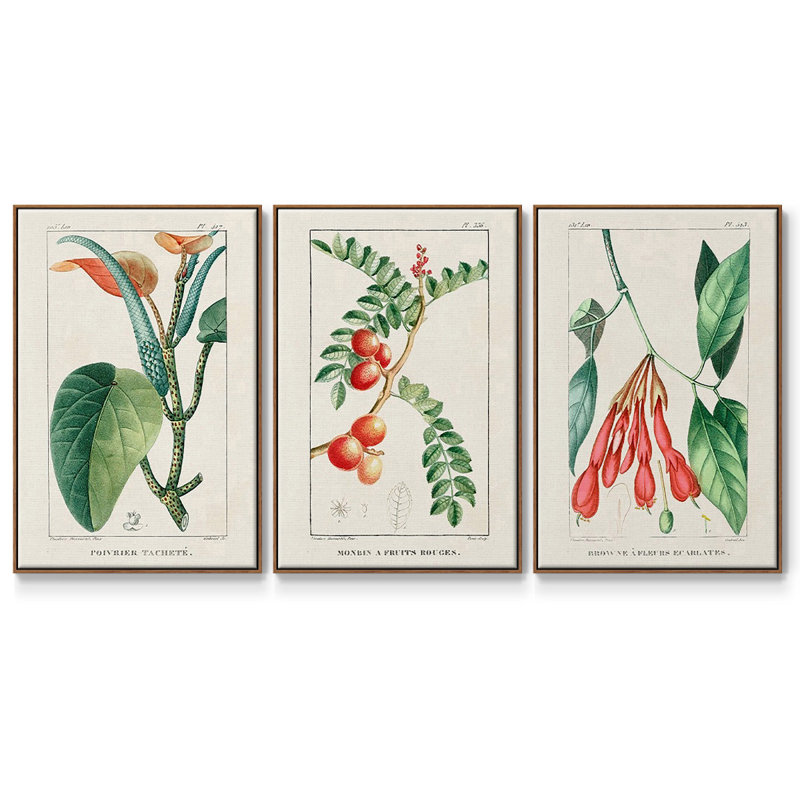 Turpin Tropical Botanicals I, ensemble de 3 toiles encadrées, Noyer, H 36 po x l 72 po