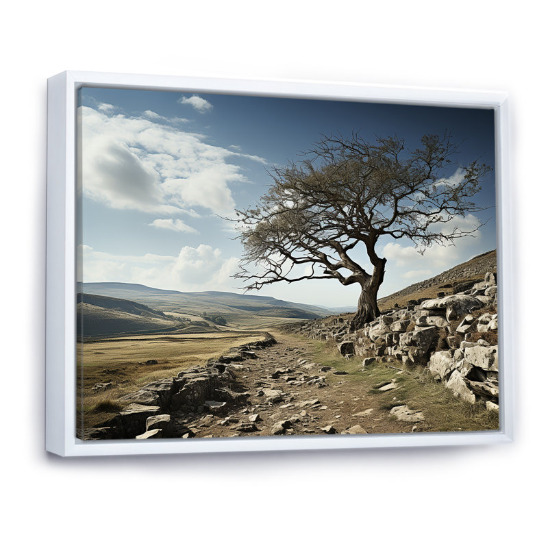 " Tree Solutide Landscape ", White Floater Framed, 24" H x 32" W x 1" D