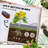 Outdoor Metal Elevated Planter Box-279356414-279356402