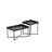 Kaniece Coffee Table