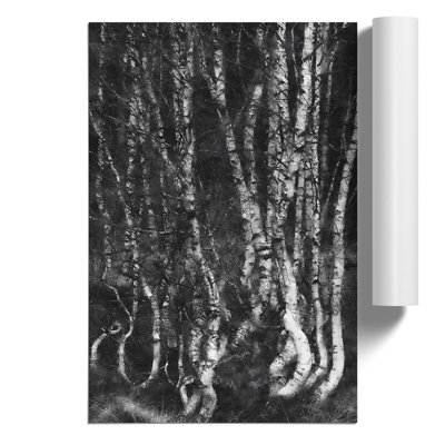 Birch Tree Forest Painting - Frameless Print