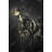 Picard Spaniel Canvas Art | Modern Home Decor Framed Print